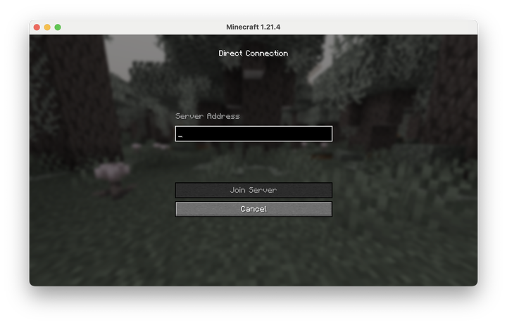 Server Address Field Connect to server | CraftIP
