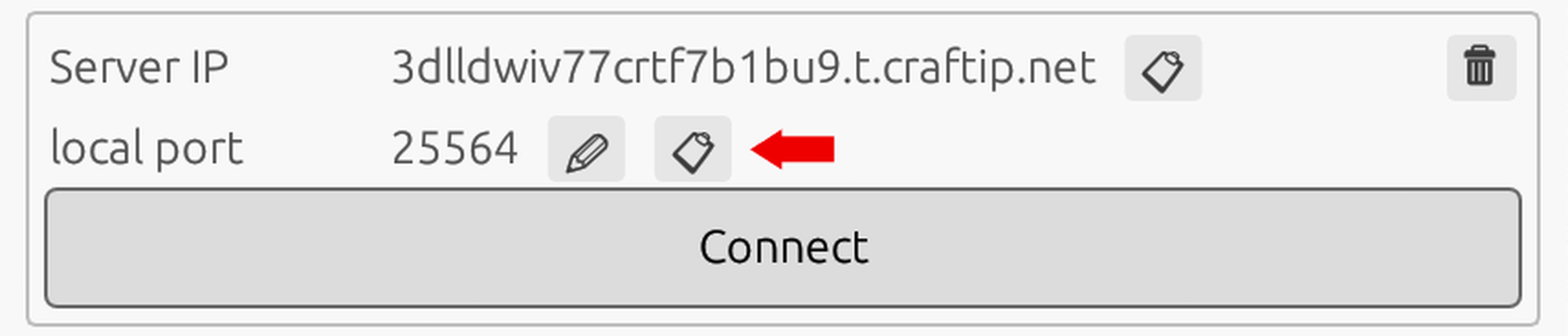 Port of CraftIP