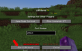 Minecraft start lan world
